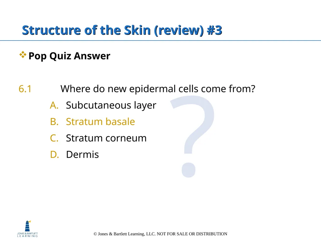 Chapter 6: The Integumentary System Overview Key - slide 24 of 84