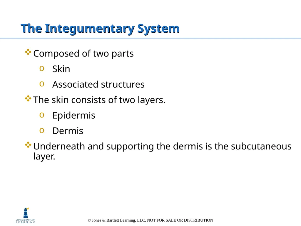 Chapter 6: The Integumentary System Overview Key - slide 15 of 84