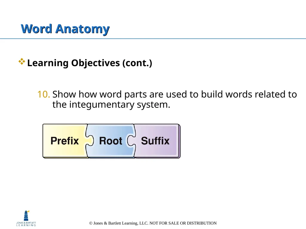 Chapter 6: The Integumentary System Overview Key - slide 13 of 84