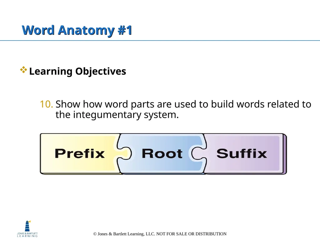 Chapter 6: The Integumentary System Overview Key - slide 80 of 84