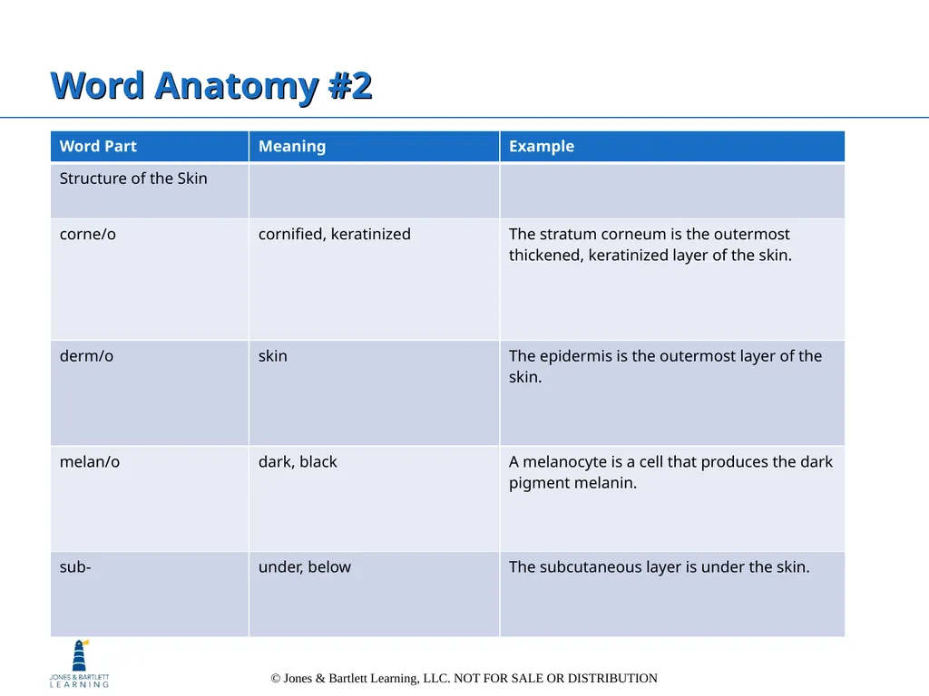 Chapter 6: The Integumentary System Overview Key - slide 81 of 84