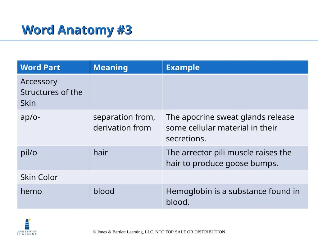 Chapter 6: The Integumentary System Overview Key - slide 82 of 84