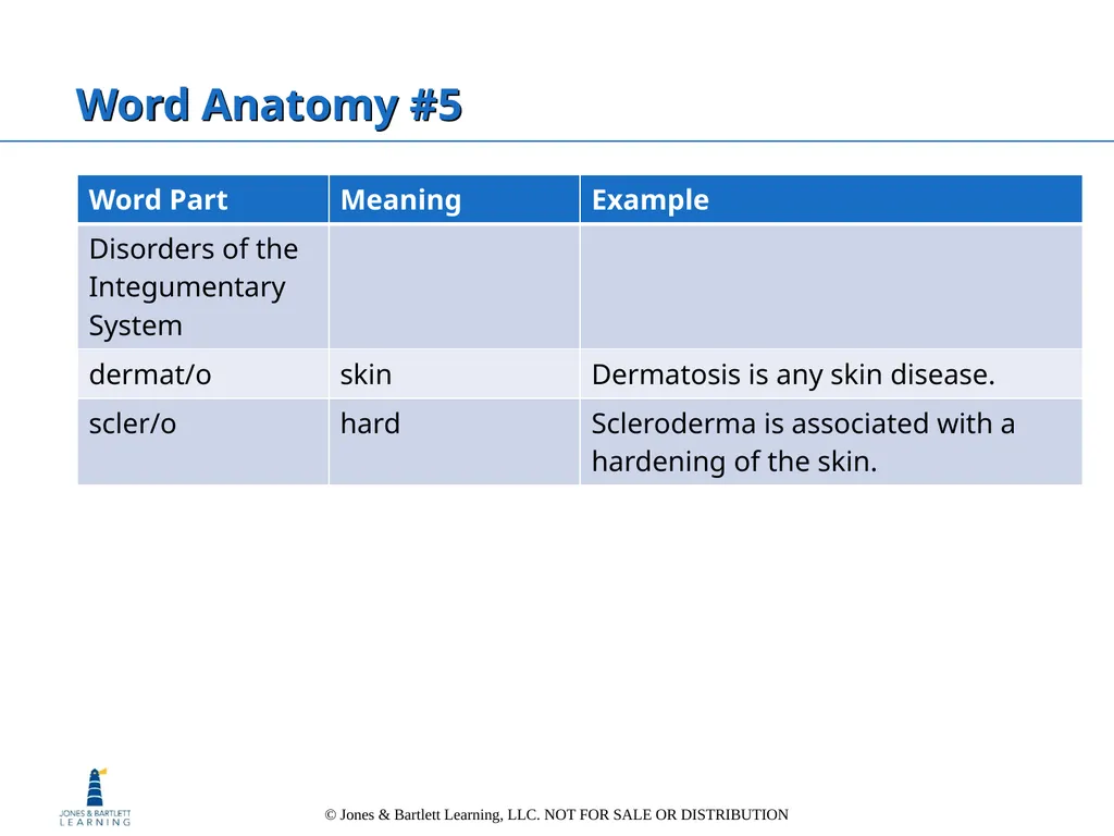 Chapter 6: The Integumentary System Overview Key - slide 84 of 84