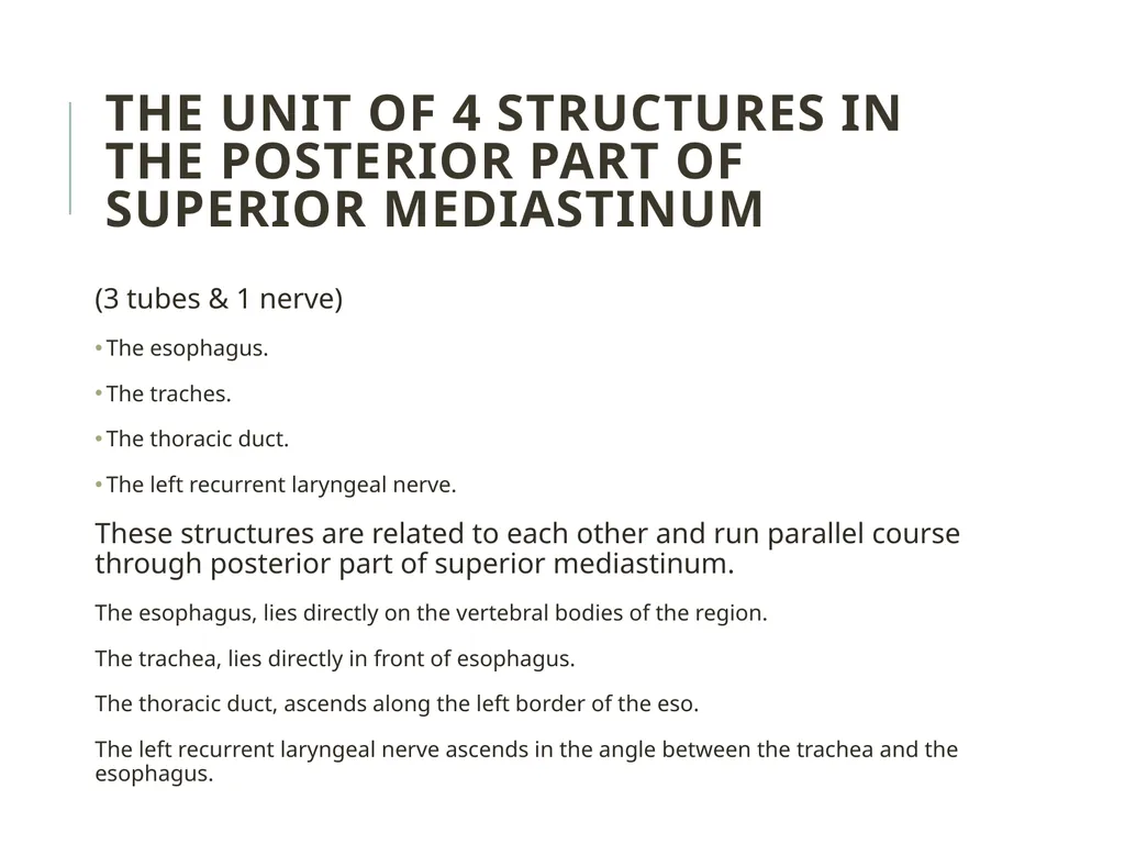 Trachea BY MBBSPPT.COM The Trachea is also called - slide 18 of 32