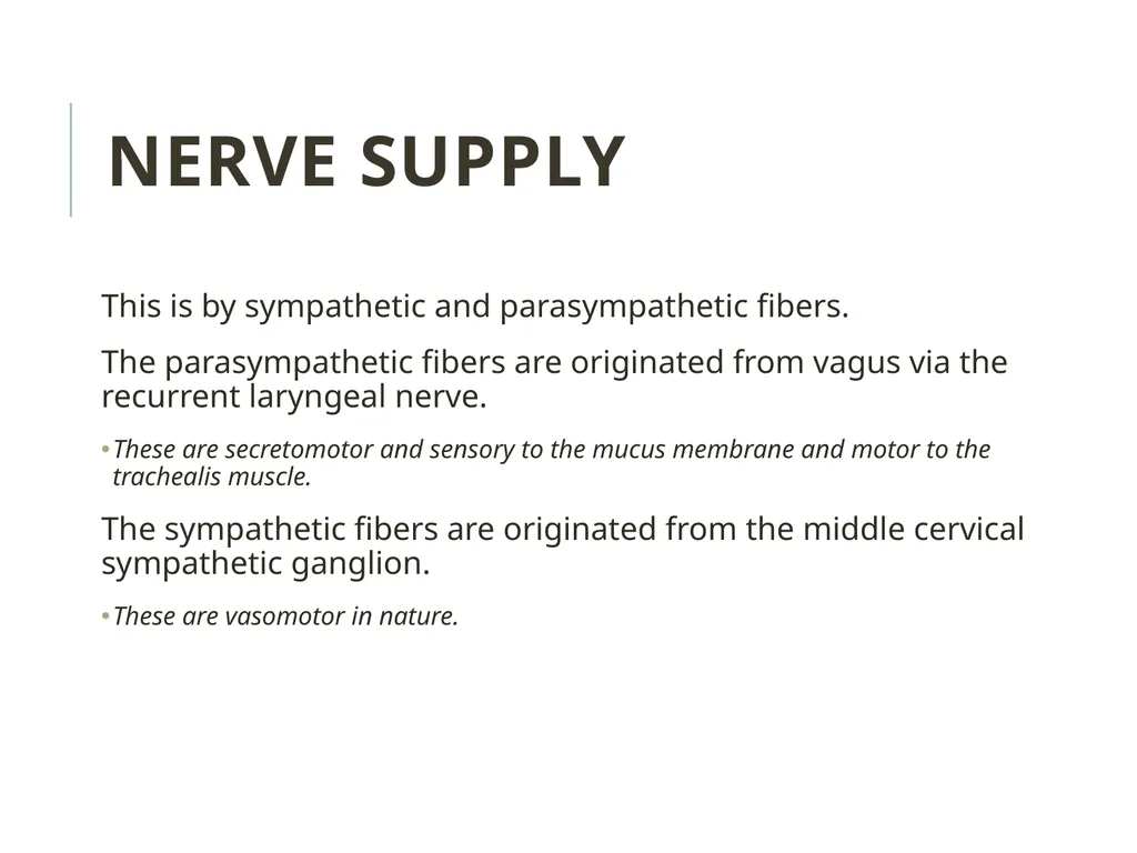 Trachea BY MBBSPPT.COM The Trachea is also called - slide 23 of 32