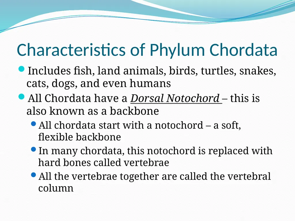 The Ectothermic Vertebrates: Chapter 17A and B - slide 5 of 30