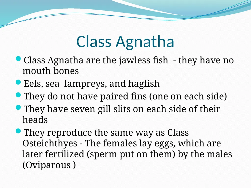 The Ectothermic Vertebrates: Chapter 17A and B - slide 28 of 30