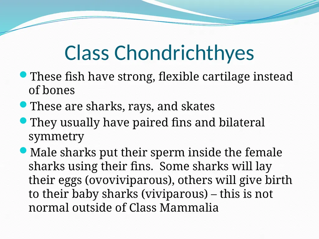 The Ectothermic Vertebrates: Chapter 17A and B - slide 30 of 30