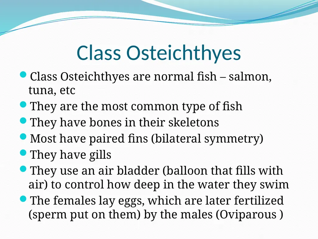 The Ectothermic Vertebrates: Chapter 17A and B - slide 26 of 30