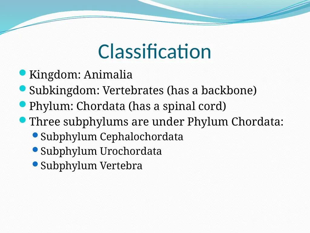 The Ectothermic Vertebrates: Chapter 17A and B - slide 3 of 30