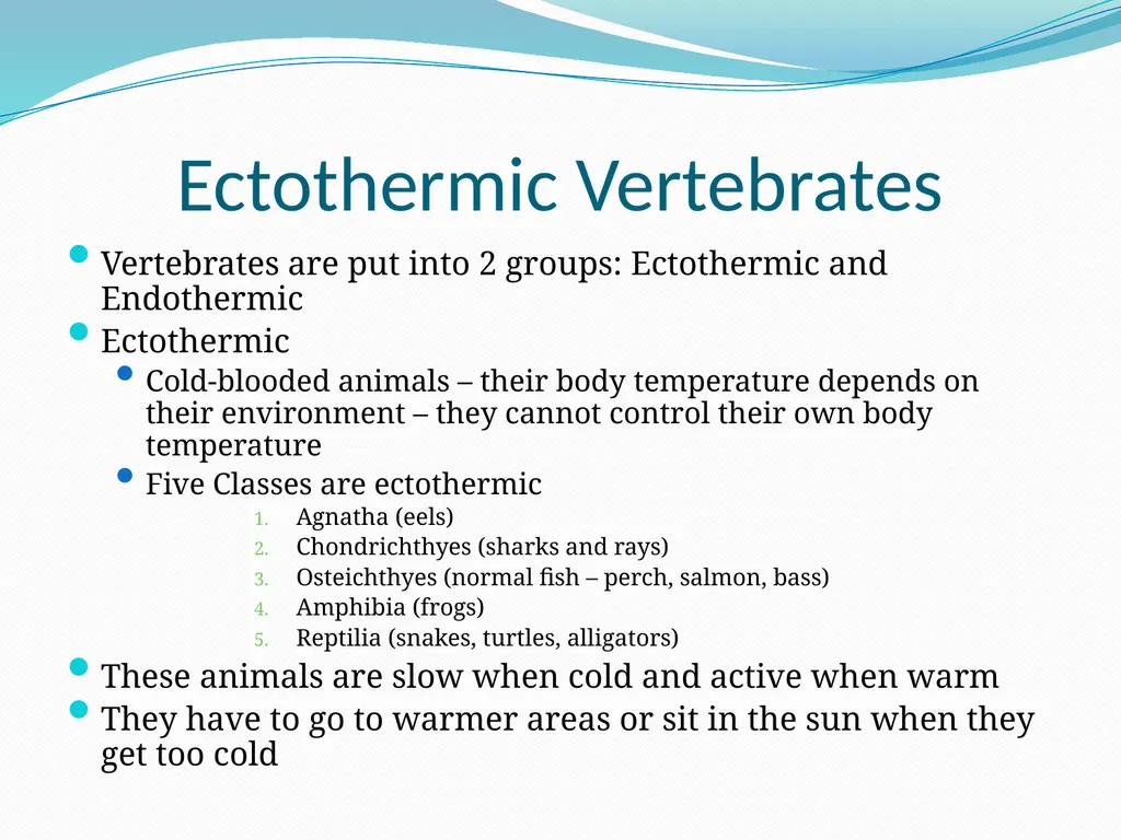 The Ectothermic Vertebrates: Chapter 17A and B - slide 15 of 30
