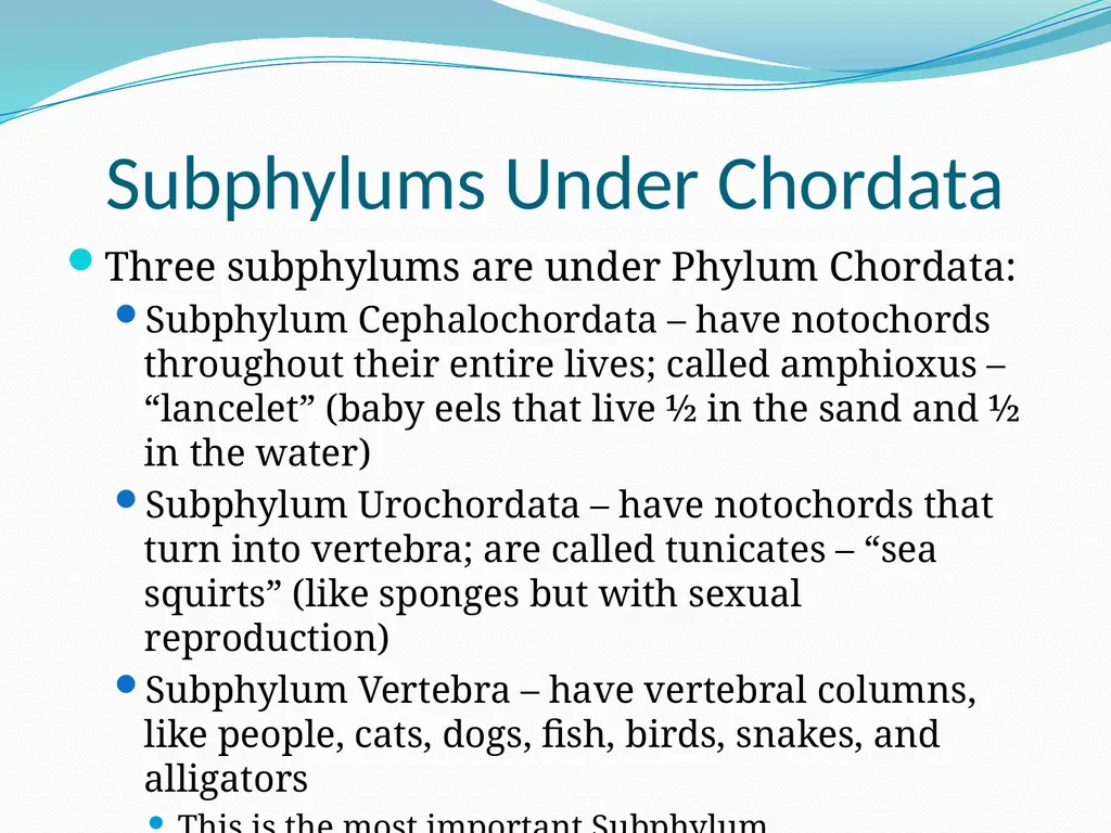 The Ectothermic Vertebrates: Chapter 17A and B - slide 11 of 30