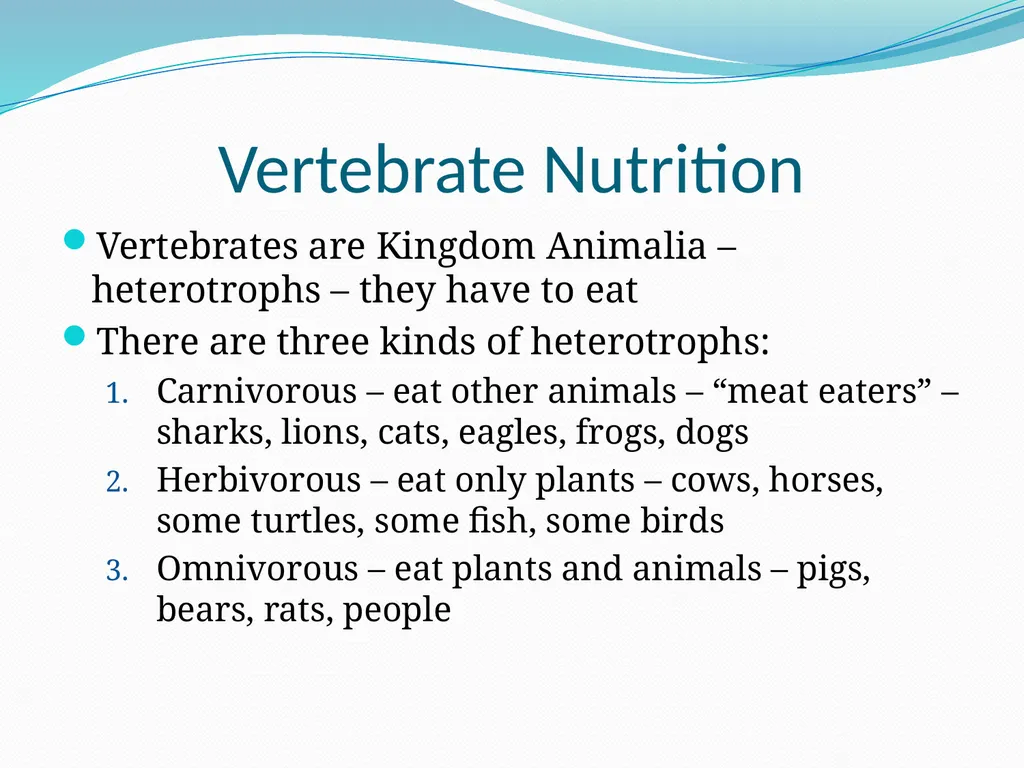 The Ectothermic Vertebrates: Chapter 17A and B - slide 20 of 30