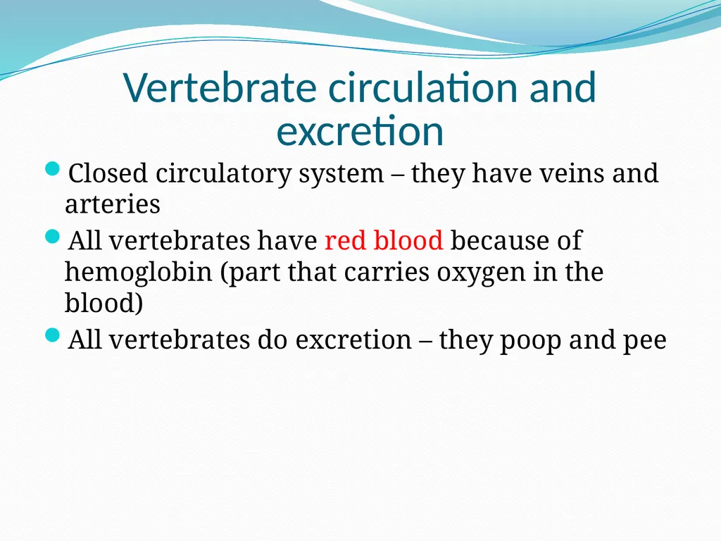 The Ectothermic Vertebrates: Chapter 17A and B - slide 19 of 30