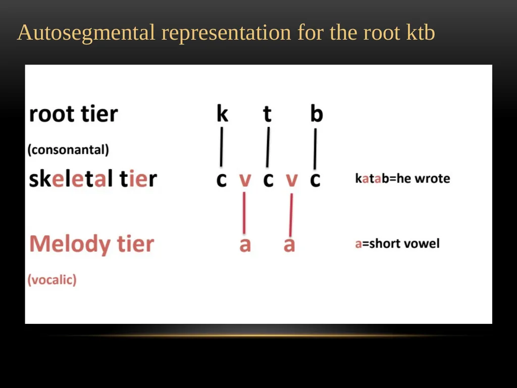 A Prosodic Theory of Nonconcatenative Morphology - slide 17 of 47