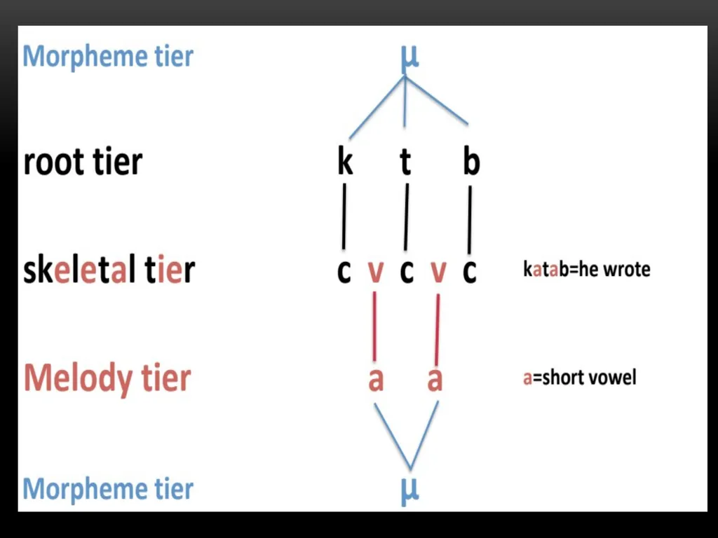 A Prosodic Theory of Nonconcatenative Morphology - slide 30 of 47