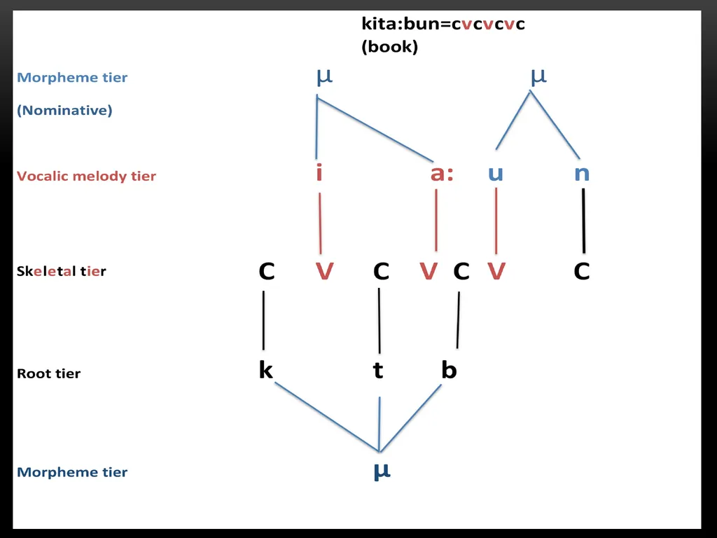 A Prosodic Theory of Nonconcatenative Morphology - slide 31 of 47
