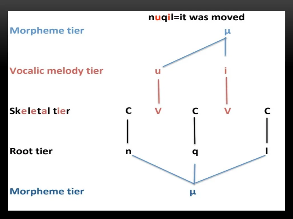 A Prosodic Theory of Nonconcatenative Morphology - slide 32 of 47