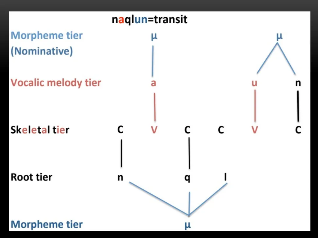 A Prosodic Theory of Nonconcatenative Morphology - slide 33 of 47