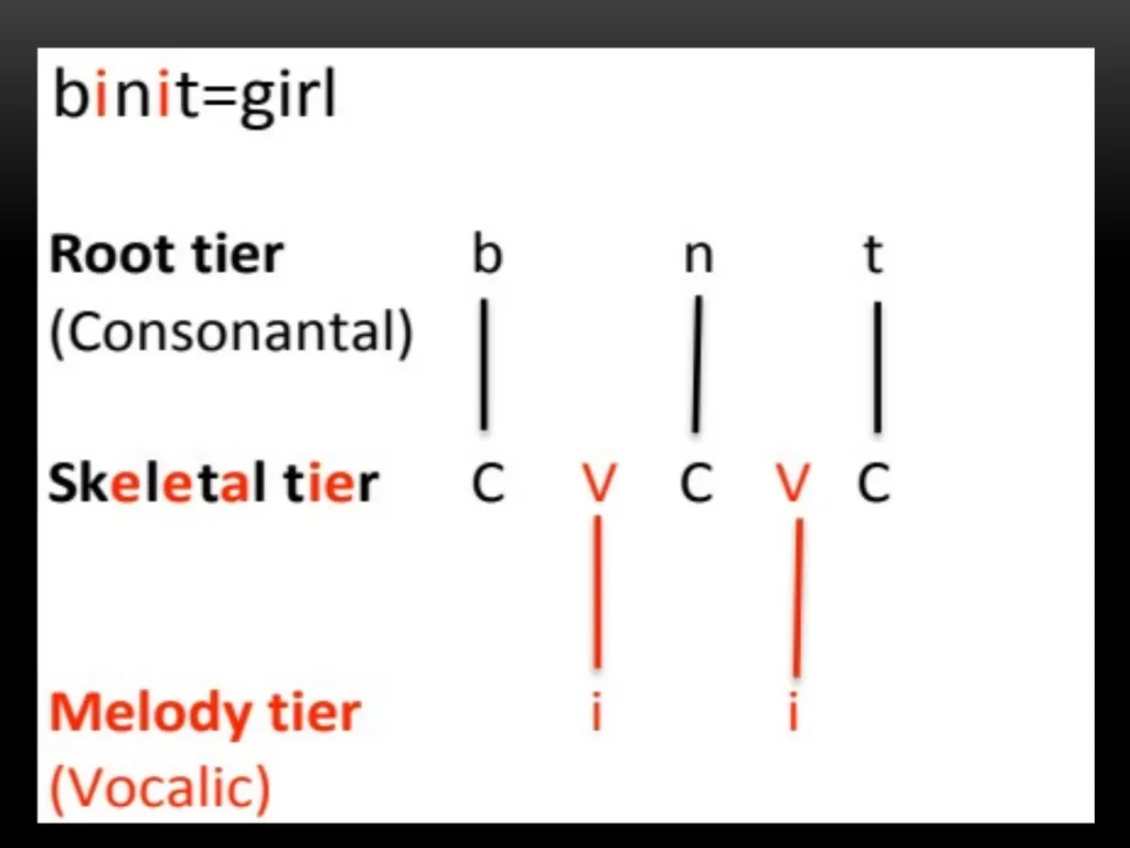 A Prosodic Theory of Nonconcatenative Morphology - slide 38 of 47