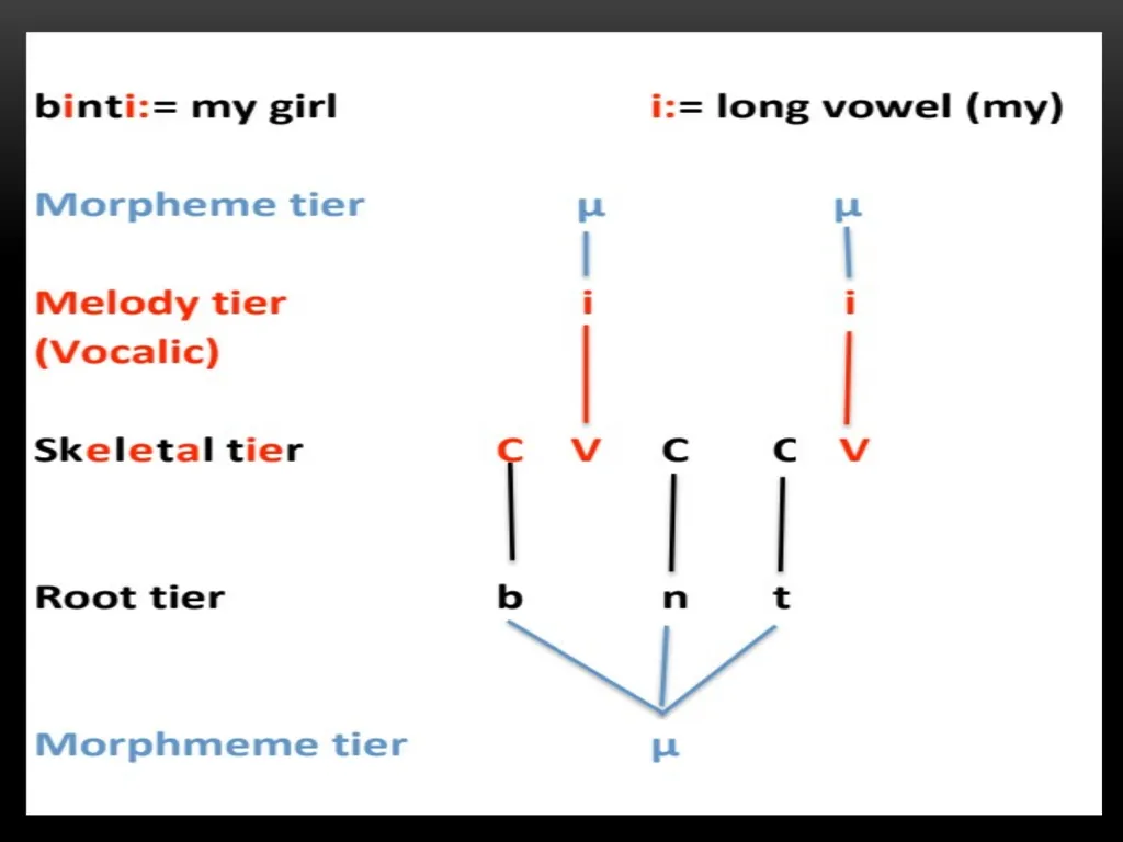 A Prosodic Theory of Nonconcatenative Morphology - slide 39 of 47
