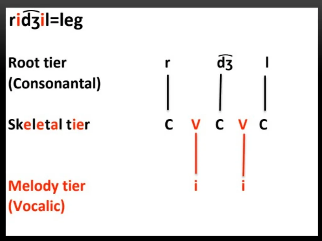 A Prosodic Theory of Nonconcatenative Morphology - slide 40 of 47