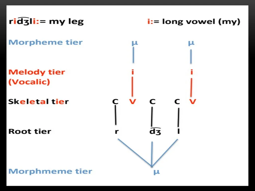 A Prosodic Theory of Nonconcatenative Morphology - slide 41 of 47