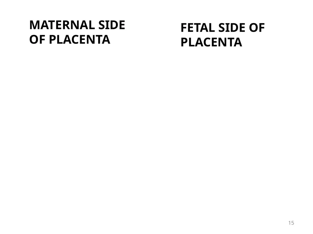 Objectives Menstruation Hormone function - slide 15 of 58