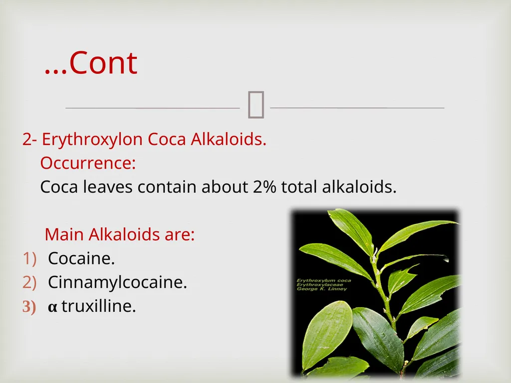 Tropane alkaloids LAB.3 Pharmacognosy 3rd Class, - slide 5 of 18