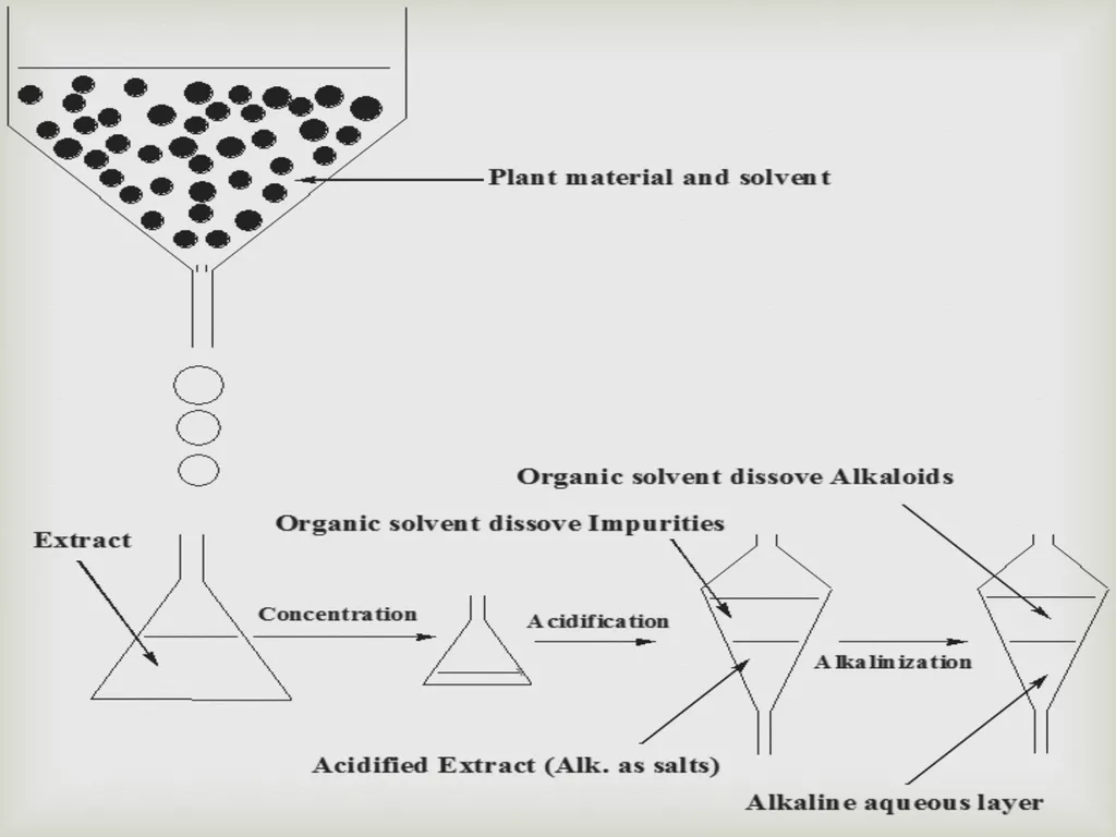 Tropane alkaloids LAB.3 Pharmacognosy 3rd Class, - slide 17 of 18