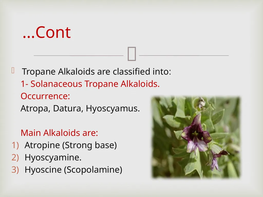 Tropane alkaloids LAB.3 Pharmacognosy 3rd Class, - slide 3 of 18