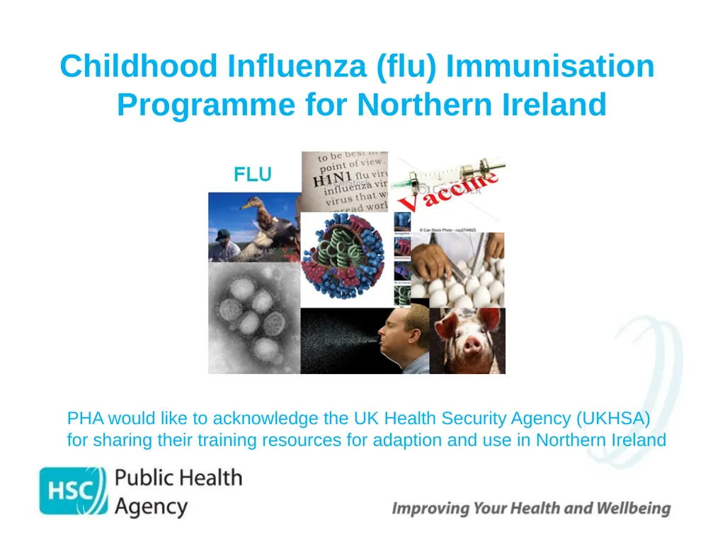 Childhood Influenza (flu) Immunisation Programme - slide 1 of 57