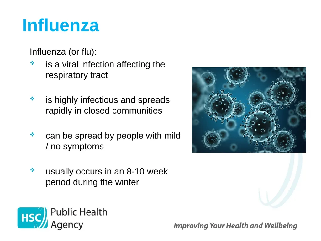Childhood Influenza (flu) Immunisation Programme - slide 4 of 57