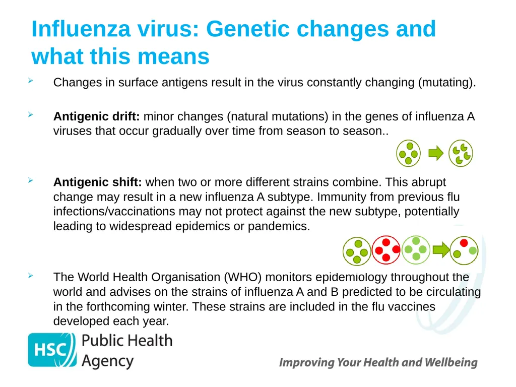 Childhood Influenza (flu) Immunisation Programme - slide 7 of 57