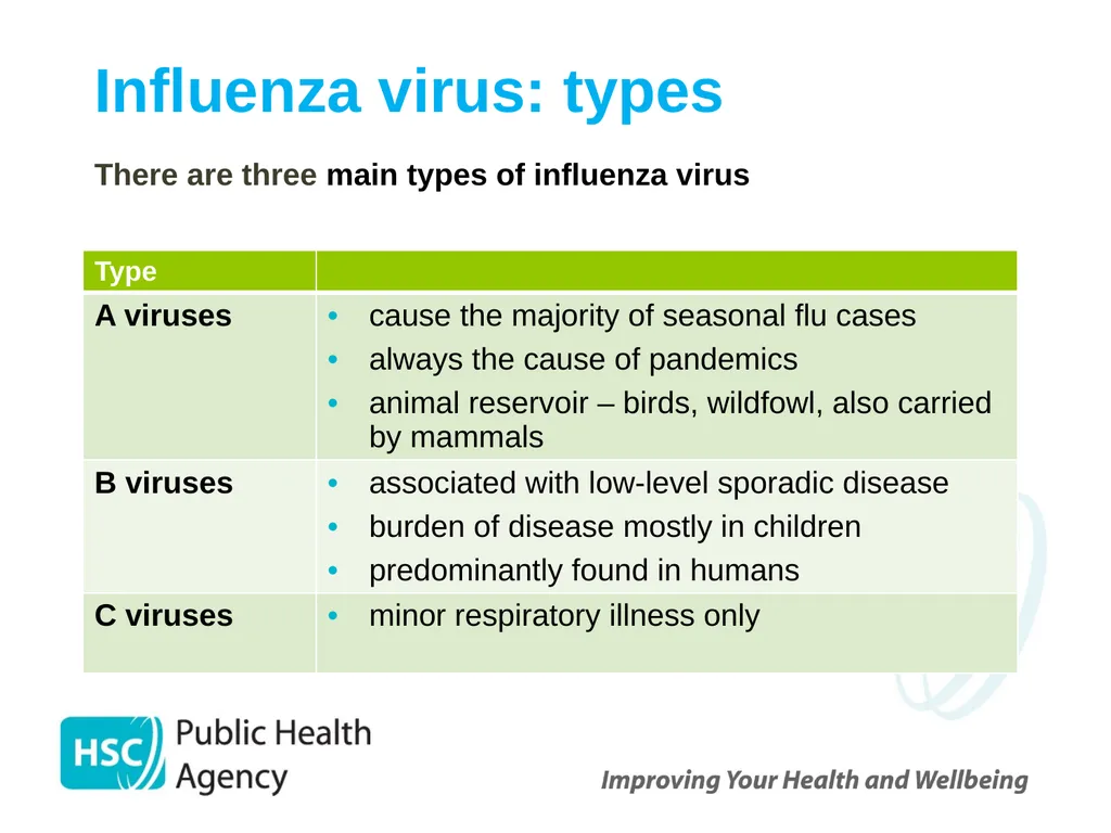 Childhood Influenza (flu) Immunisation Programme - slide 5 of 57