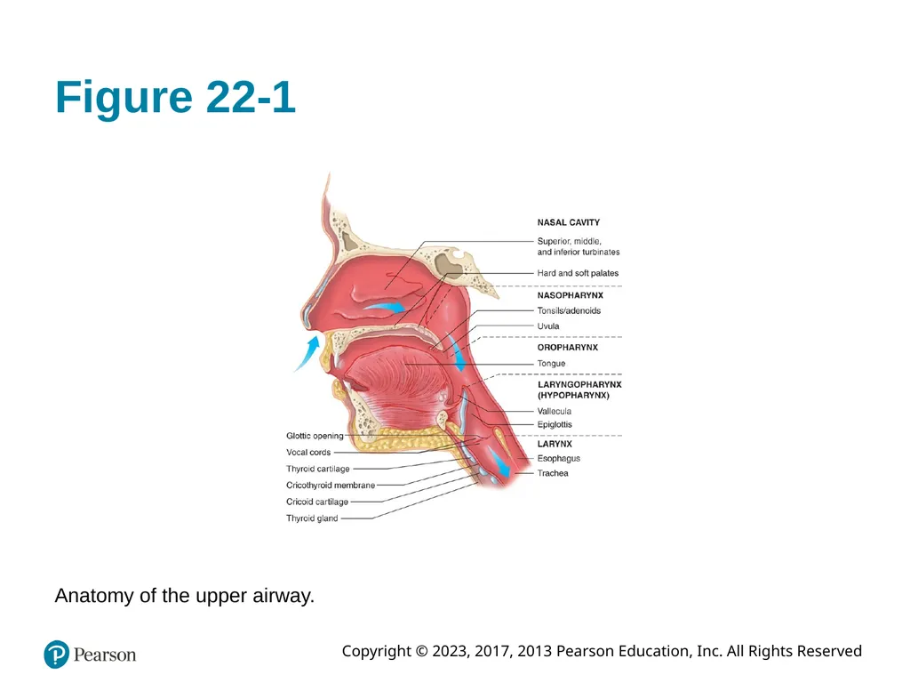 Paramedic Care: Principles & Practice Sixth - slide 10 of 87