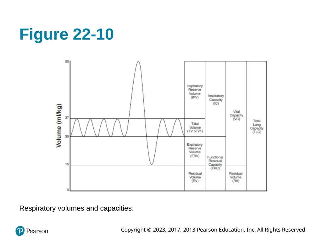 Paramedic Care: Principles & Practice Sixth - slide 40 of 87