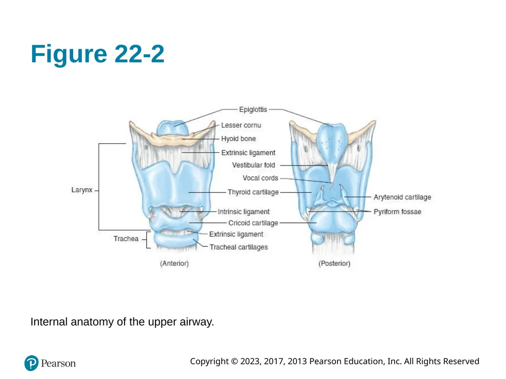 Paramedic Care: Principles & Practice Sixth - slide 12 of 87