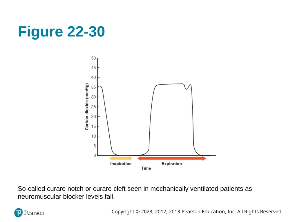 Paramedic Care: Principles & Practice Sixth - slide 78 of 87