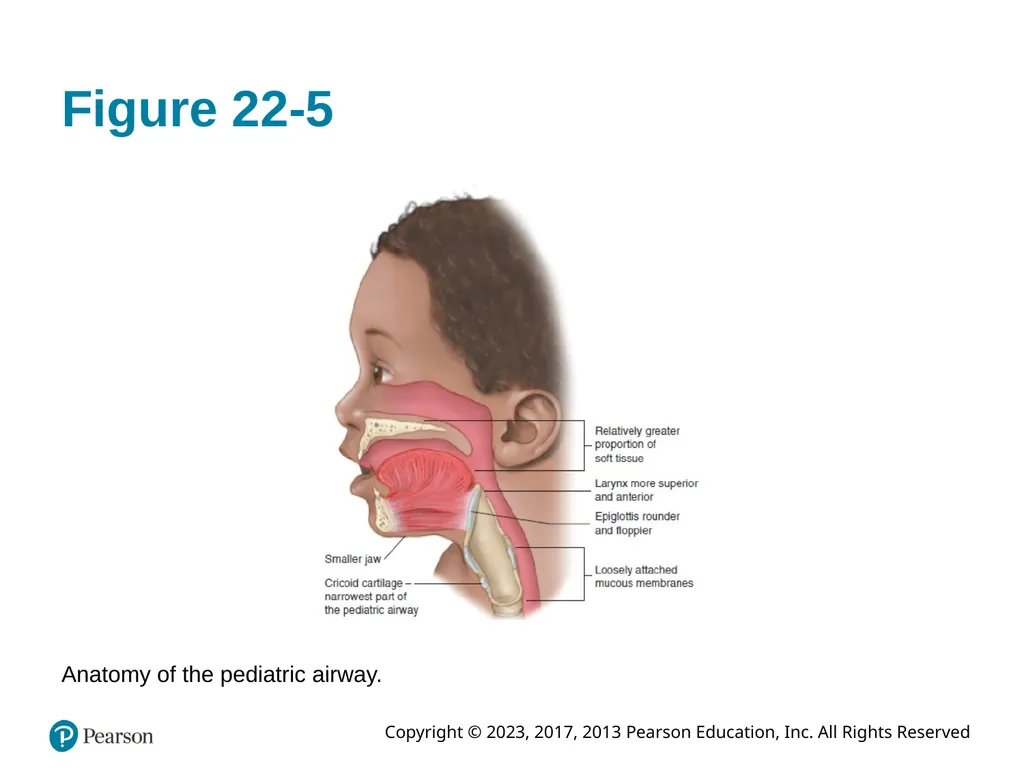 Paramedic Care: Principles & Practice Sixth - slide 20 of 87