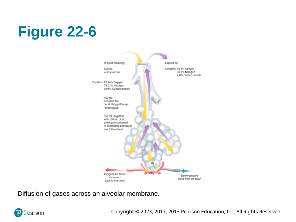 Paramedic Care: Principles & Practice Sixth - slide 22 of 87