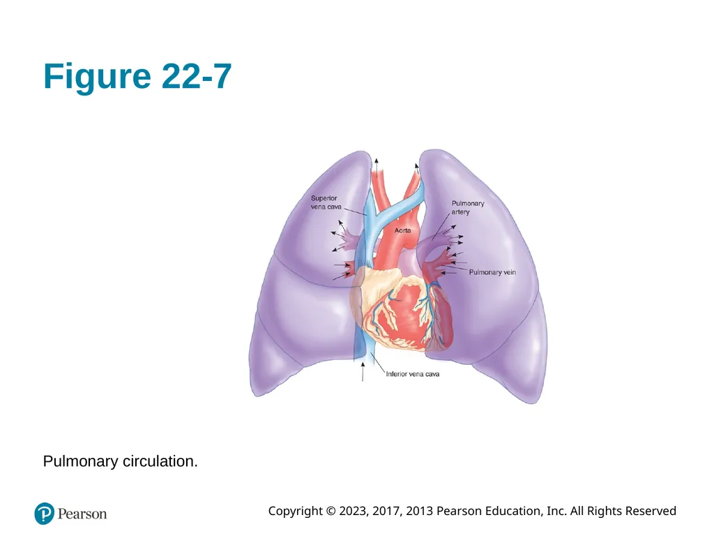 Paramedic Care: Principles & Practice Sixth - slide 26 of 87