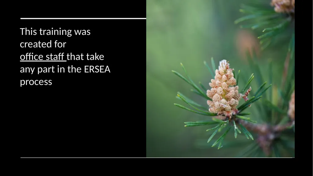 ERSEA Training 2025-26 Location: Mountain Arts - slide 3 of 120