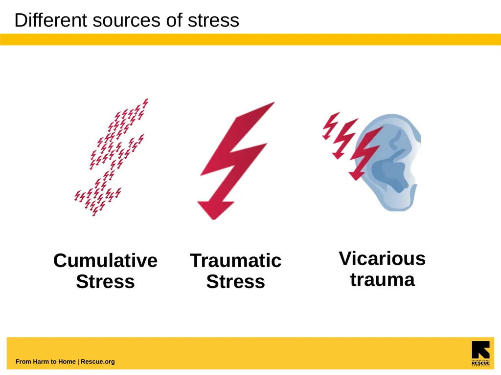 Understanding And Coping With Vicarious Trauma - slide 4 of 27