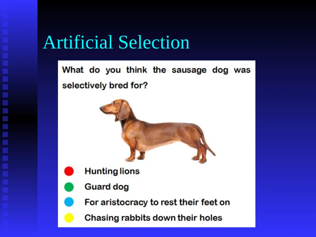 EVOLUTION Chapter 13.1 Charles Darwin Darwin’s - slide 39 of 53