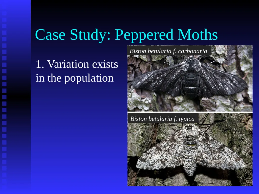 EVOLUTION Chapter 13.1 Charles Darwin Darwin’s - slide 50 of 53