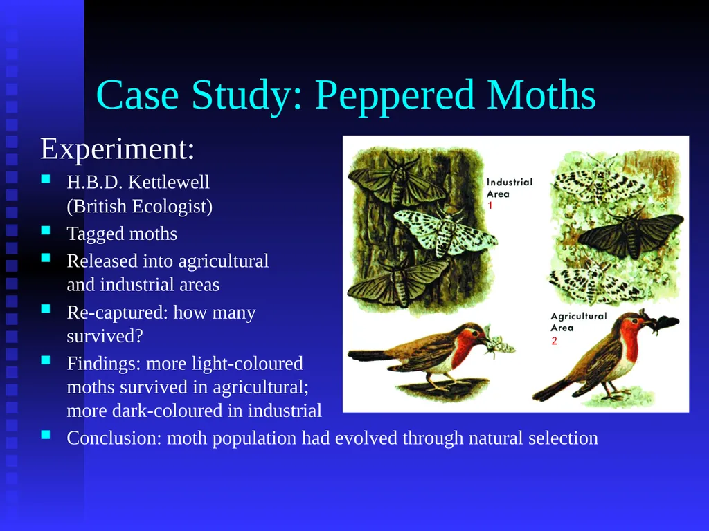 EVOLUTION Chapter 13.1 Charles Darwin Darwin’s - slide 53 of 53