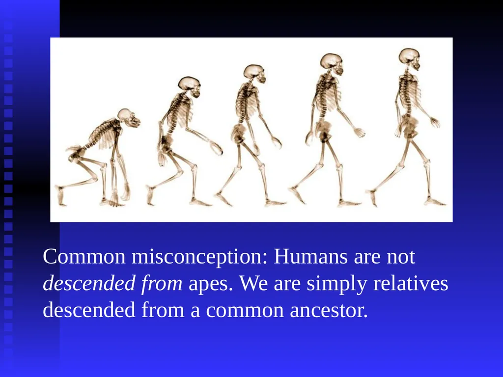EVOLUTION Chapter 13.1 Charles Darwin Darwin’s - slide 23 of 53