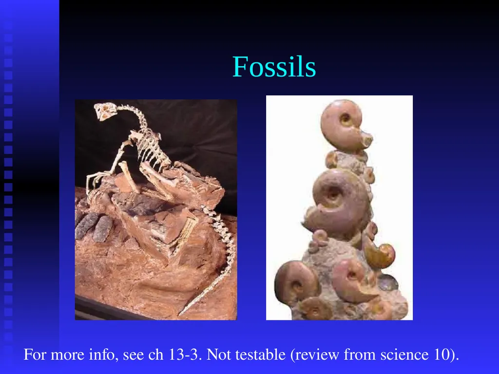 EVOLUTION Chapter 13.1 Charles Darwin Darwin’s - slide 12 of 53