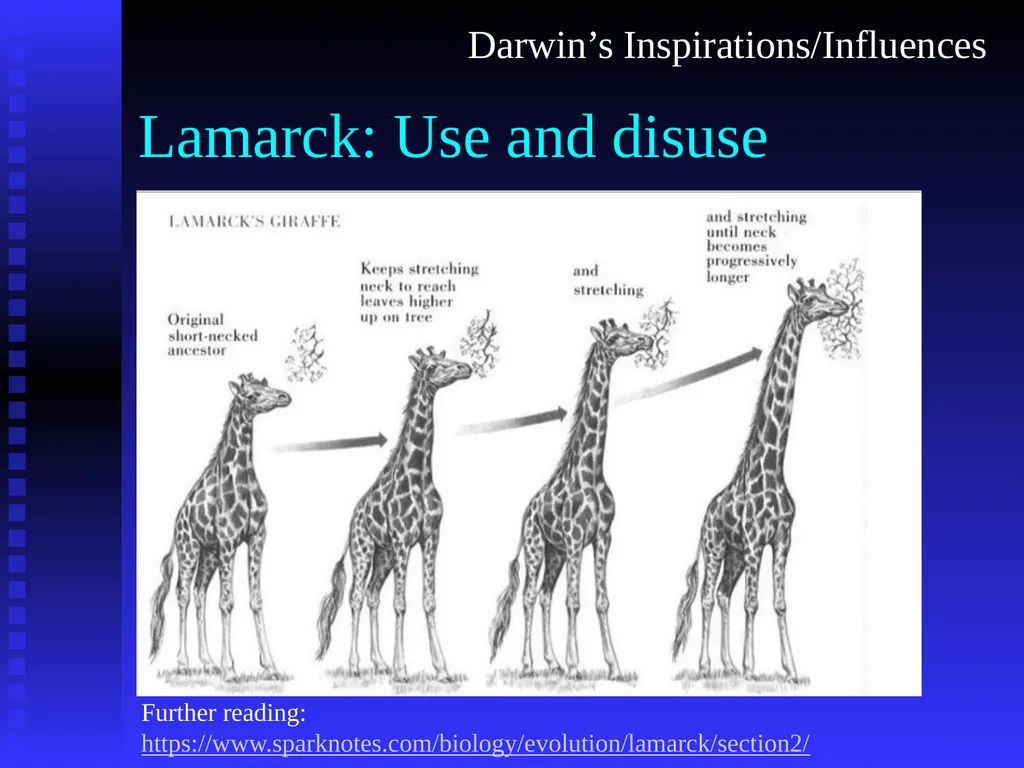 EVOLUTION Chapter 13.1 Charles Darwin Darwin’s - slide 32 of 53